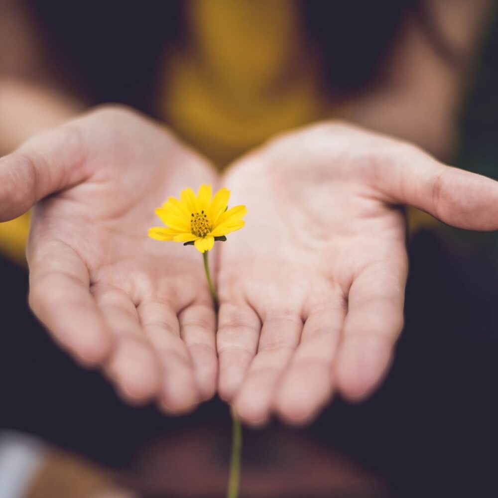 lina-trochez-377674-unsplash lina-trochez-377674-unsplash